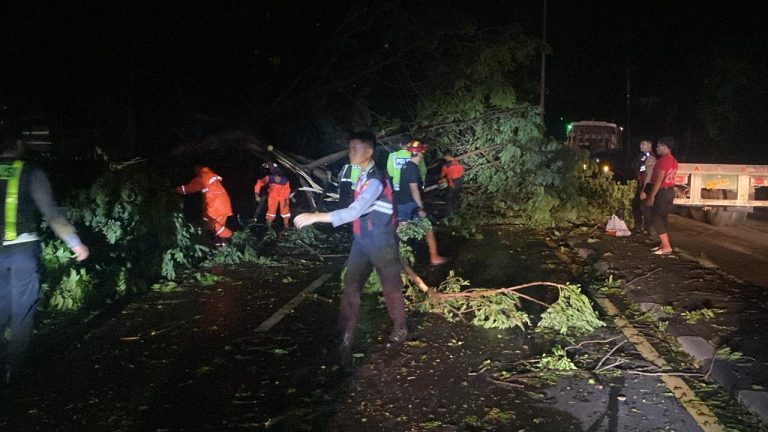 WhatsApp Image 2025-10-09 at 15.14.10