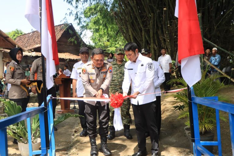 WhatsApp Image 2026-04-30 at 11.11.31